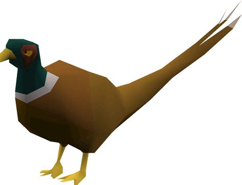 pheasant pet osrs